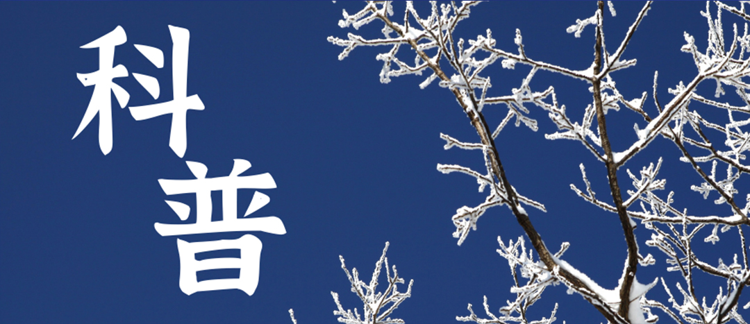 科普 | 冬季雨雪天氣?；愤\(yùn)輸車輛注意事項(xiàng)