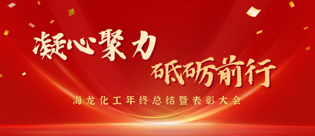 表彰 | 凝心聚力，砥礪前行，海龍化工年終總結(jié)暨表彰大會(huì)圓滿舉行
