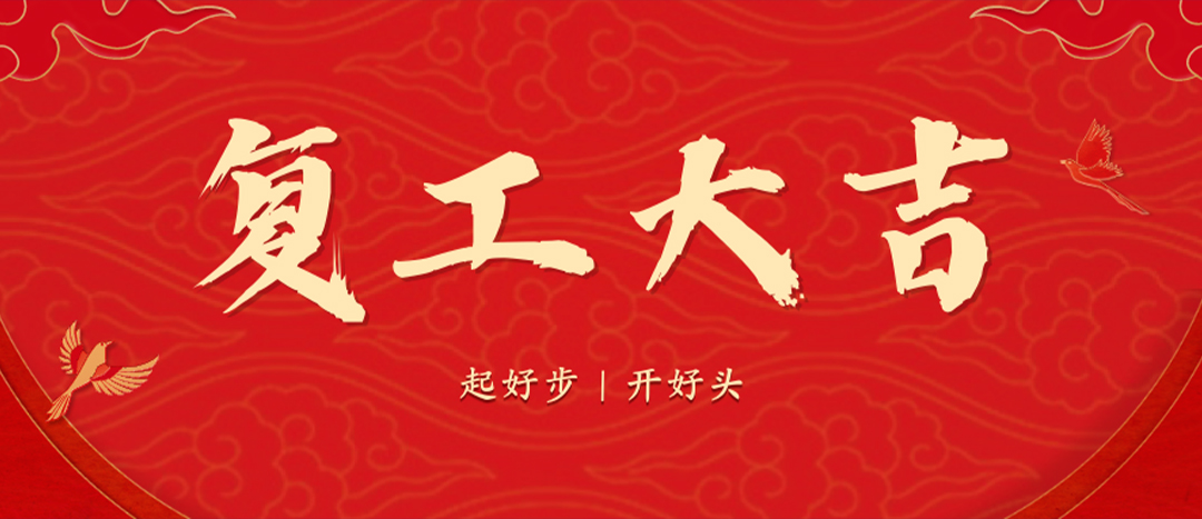 <strong>上好開(kāi)工第一課，干出新年新氣象--海龍化工召開(kāi)春節(jié)后復(fù)工復(fù)產(chǎn)專(zhuān)題部署會(huì)議</strong>